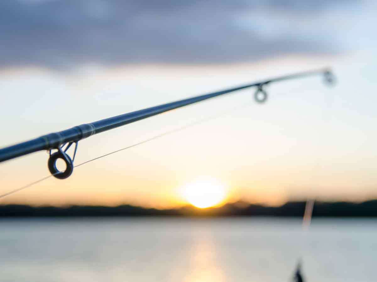 14. Fishing Charters Are Waiting for You