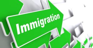 green arrows with the word immigration on them