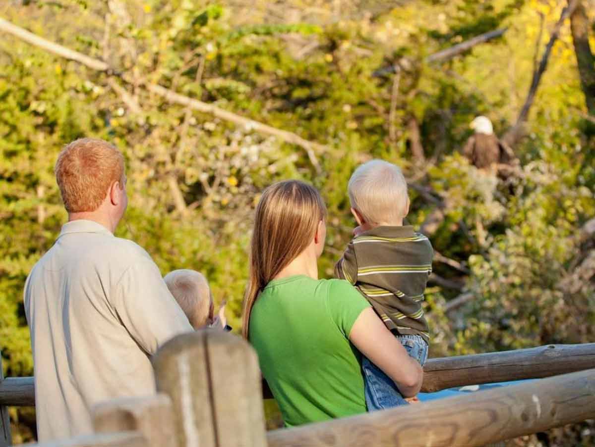 4. Nebraska Wildlife Park