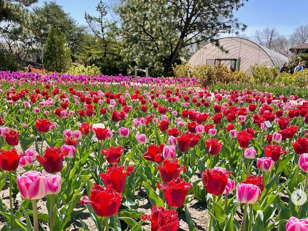 2. Take A Tour of a Botanical Garden