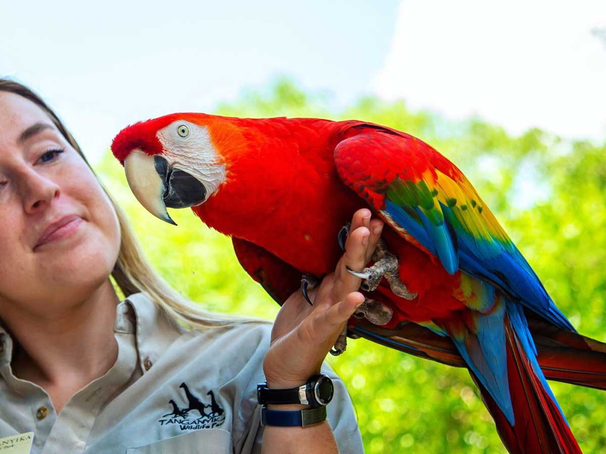 4. Tour A Wildlife Park