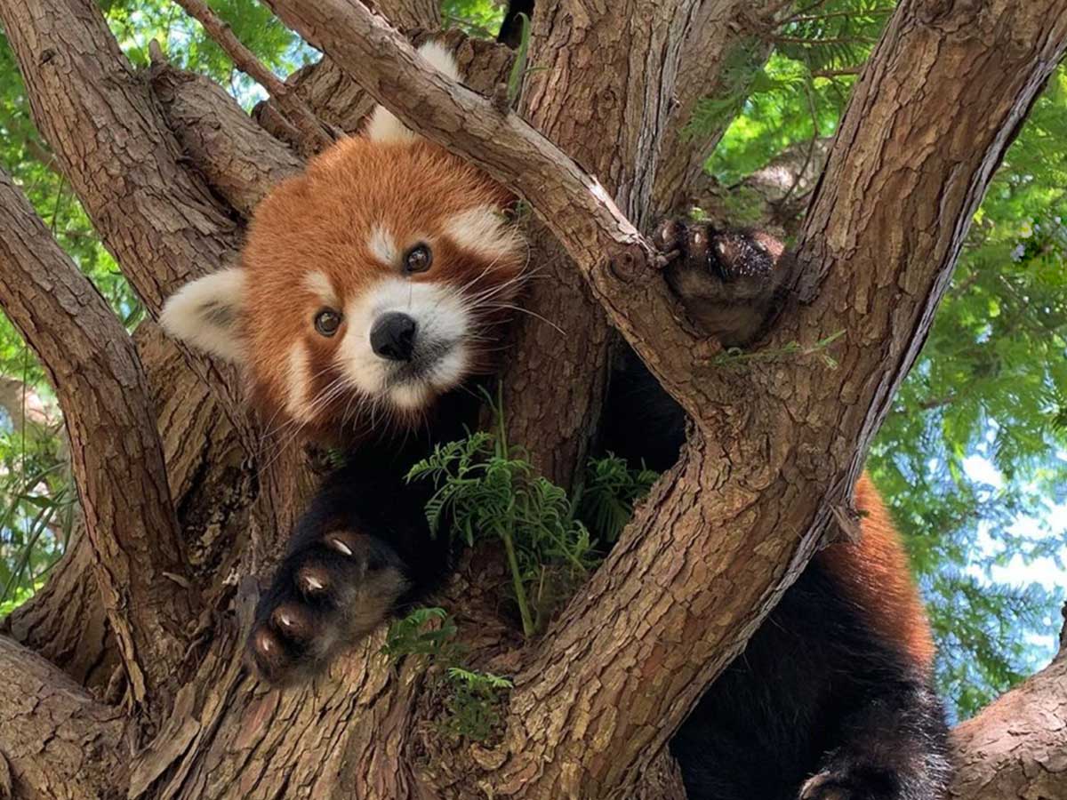 1. Visit the Sedgwick County Zoo