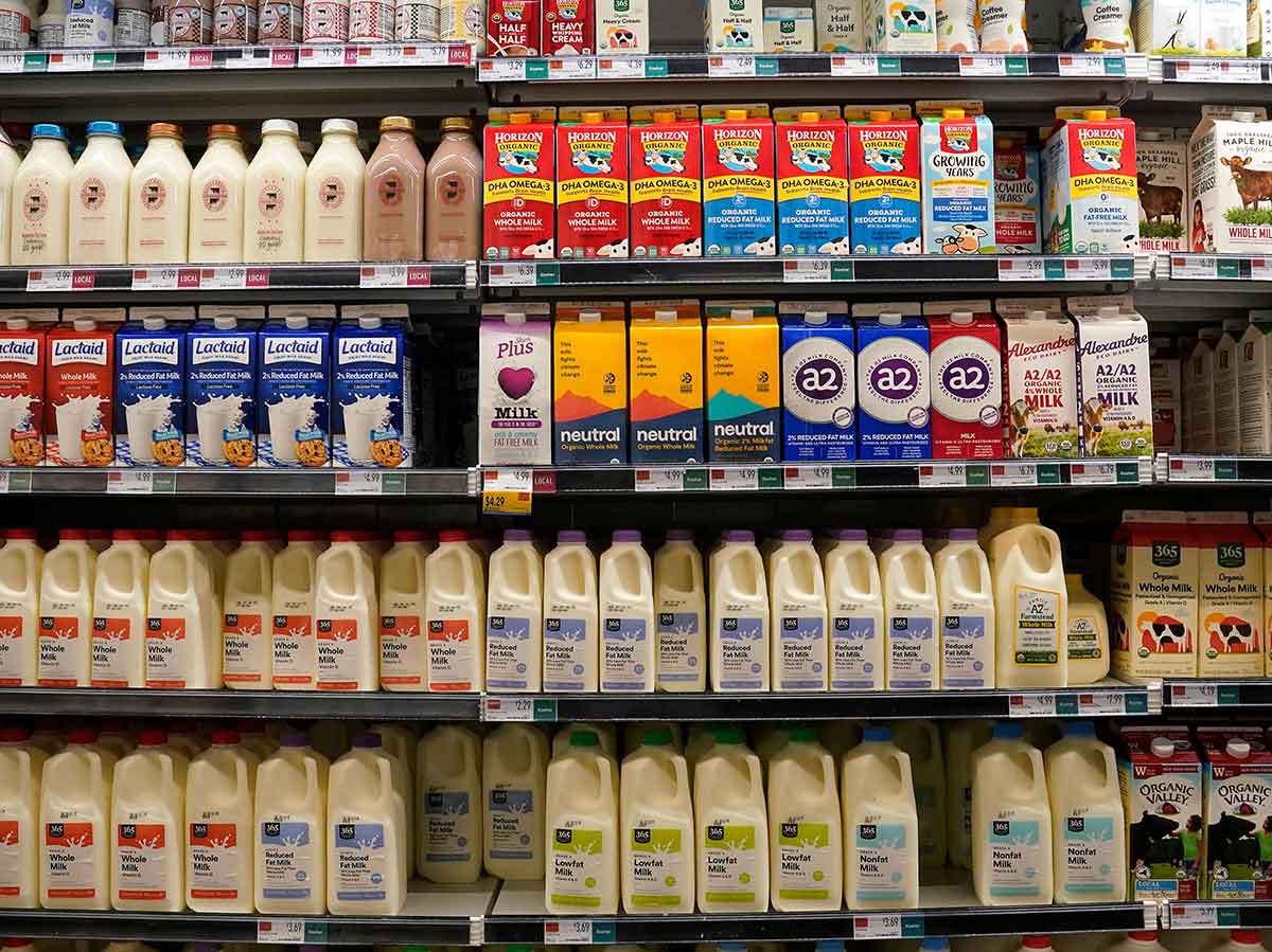 Milk Now
