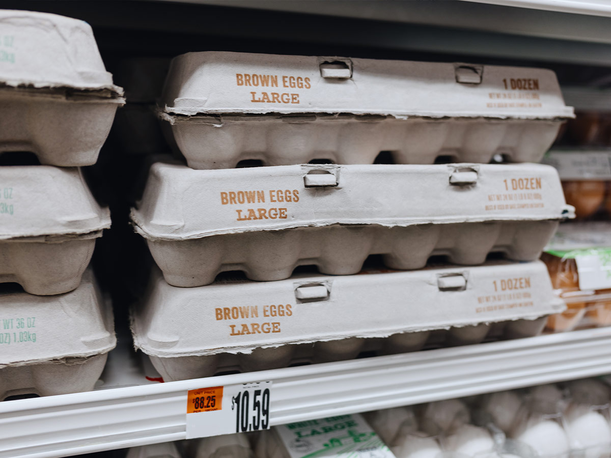 Eggs Now