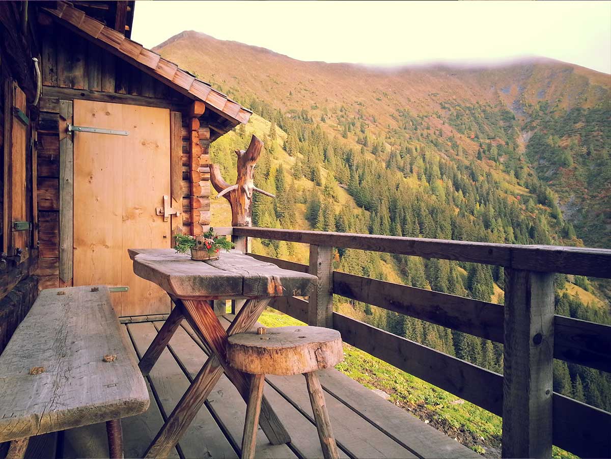 Tree Trunk Furniture