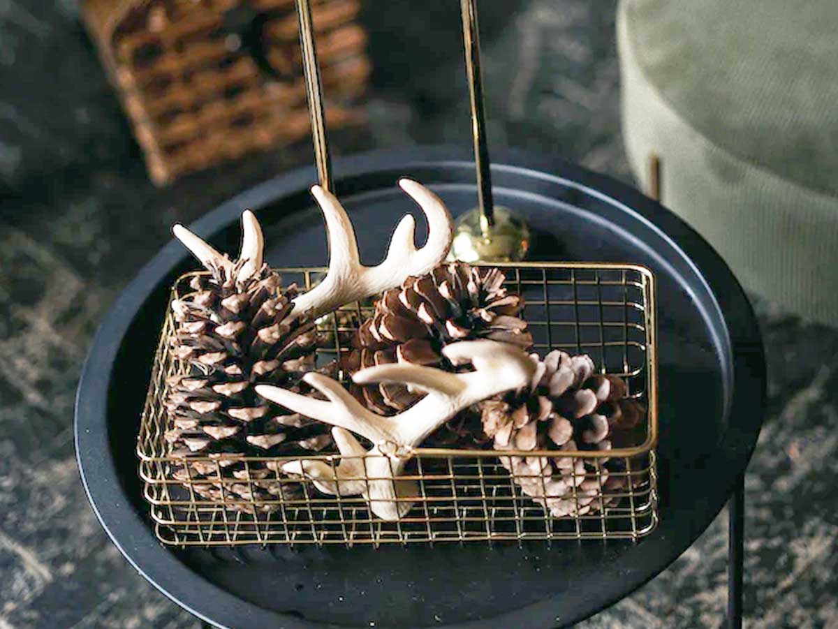 Pinecones and Pine Trees