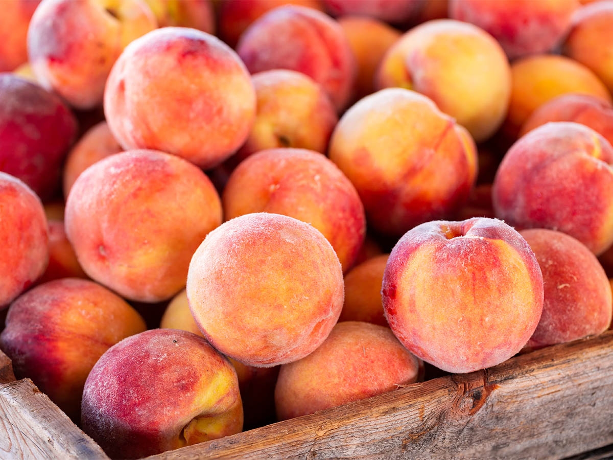 Should: Peaches