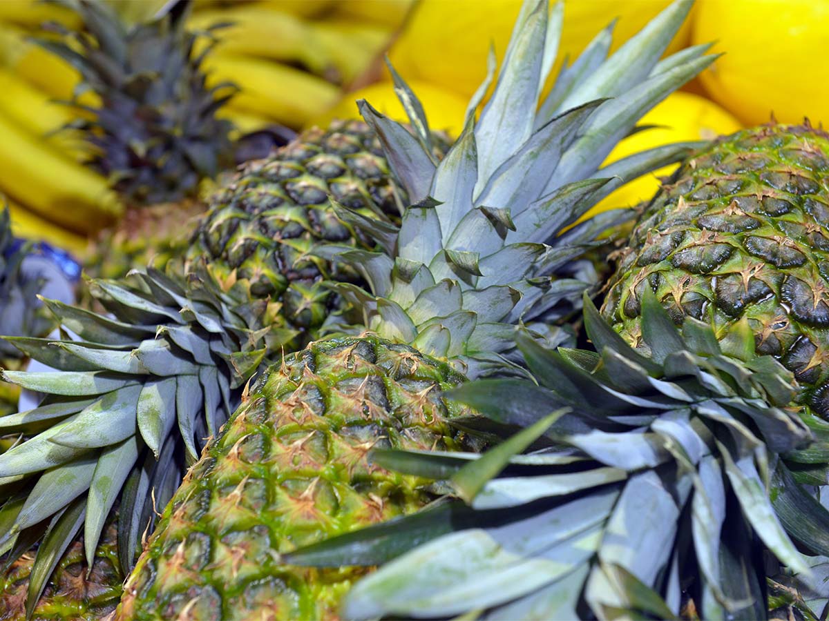 Shouldn't: Pineapple