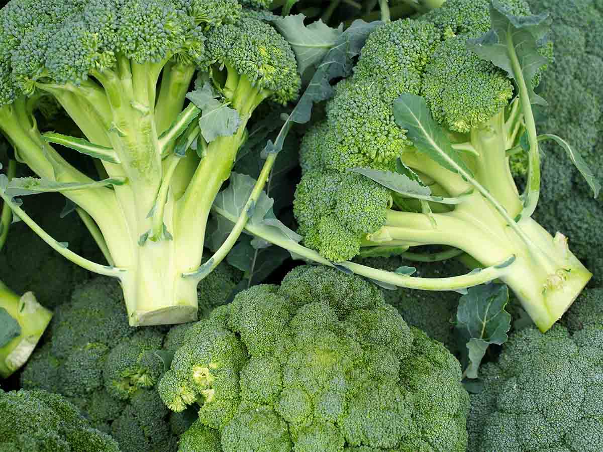 Shouldn't: Broccoli