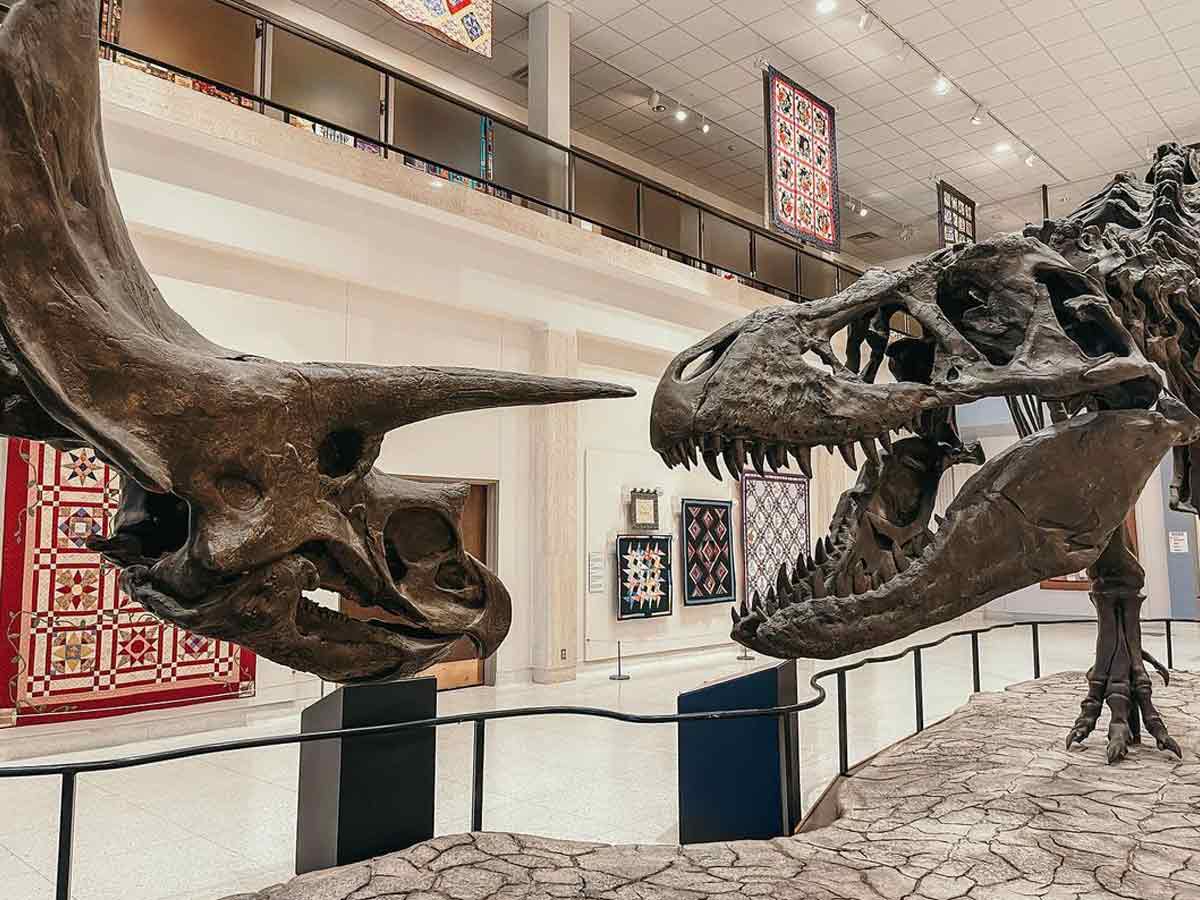 Lubbock, Texas - Museum Of Texas Tech University