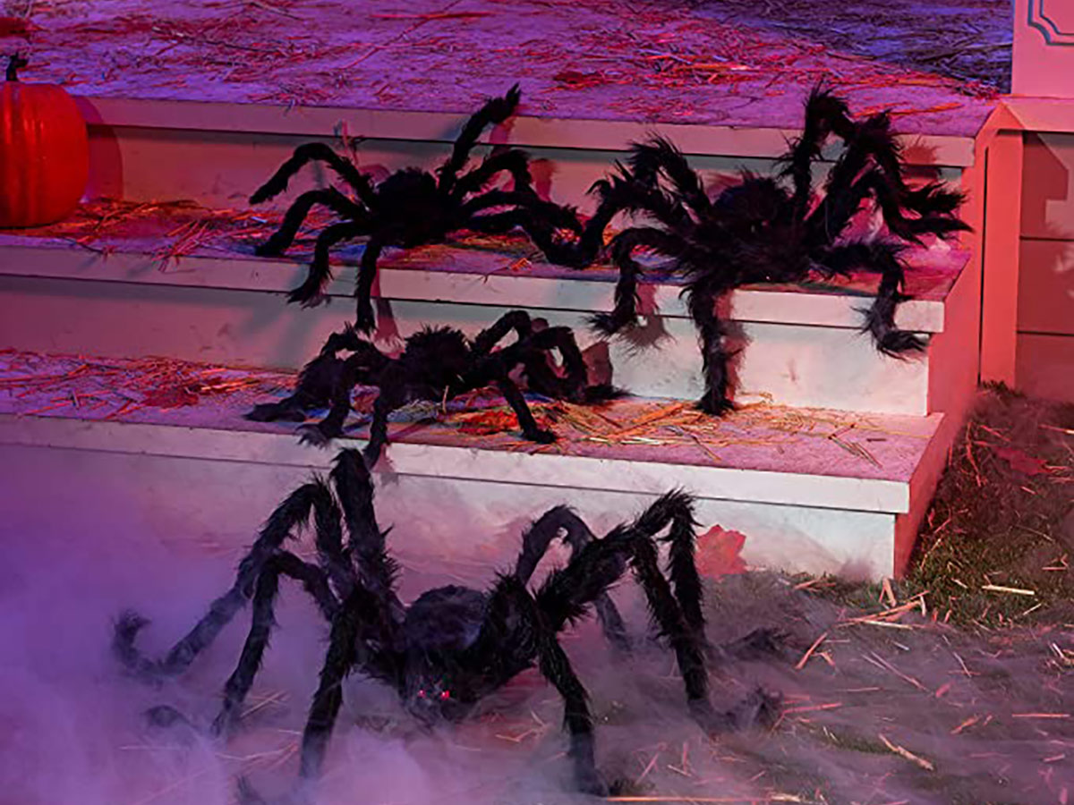Prime Day: Halloween Décor