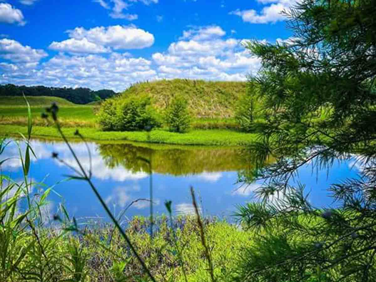 2. Investigate Moundville Archaeological Park