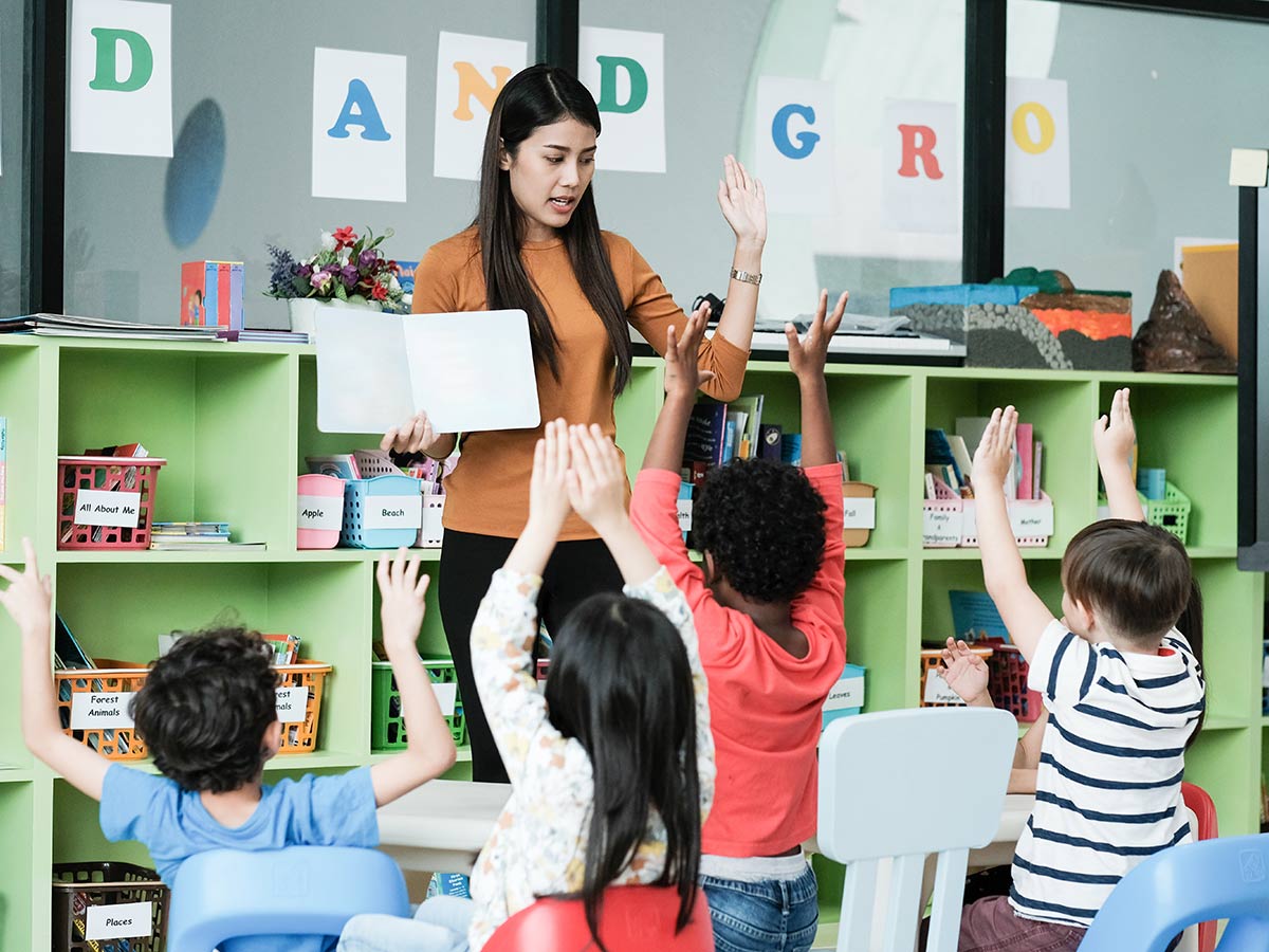 The New Teacher