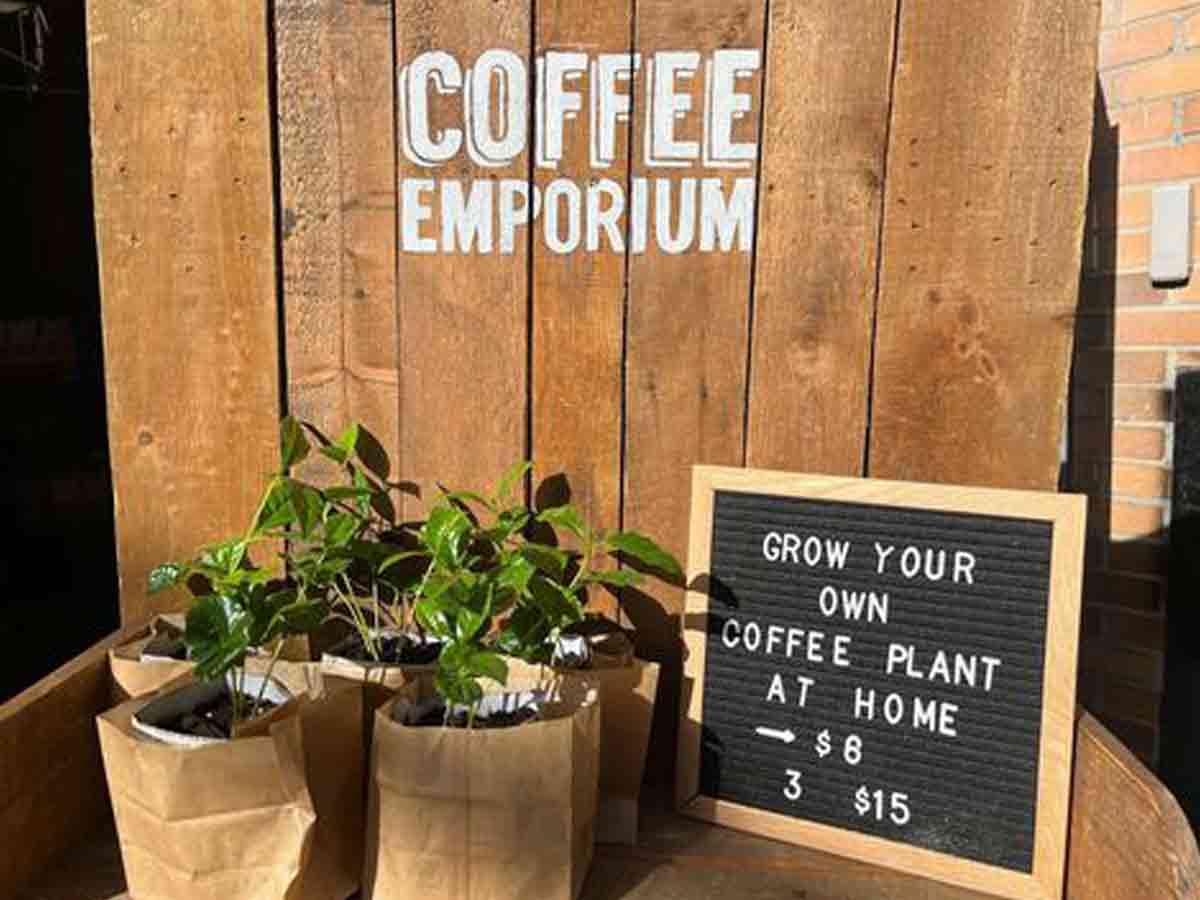 17. Cincinnati, Ohio Cup Of Joe
