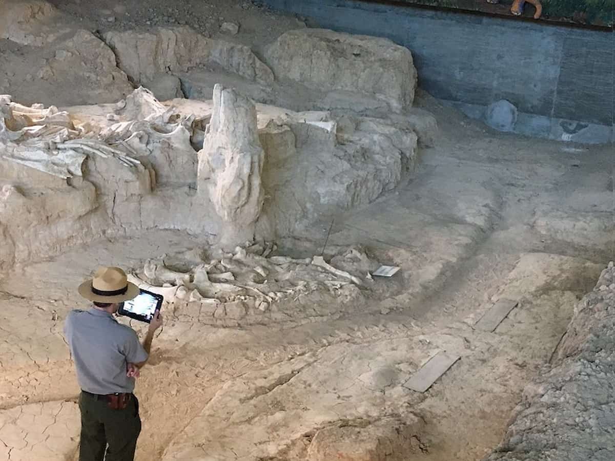8. Waco Mammoth National Monument