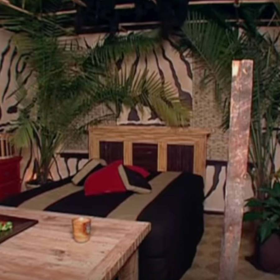 Safari Bedroom | "Trading Spaces"