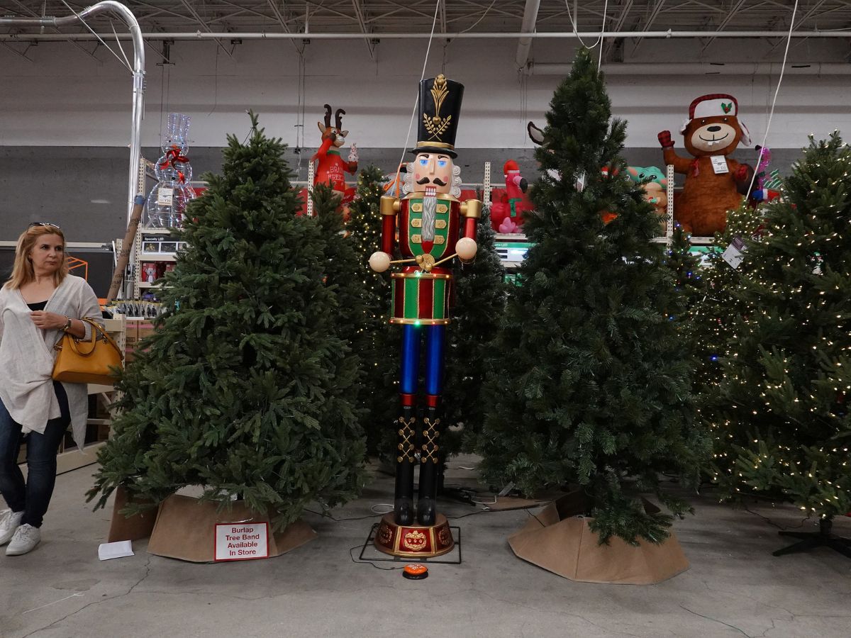 Buy: Christmas Trees