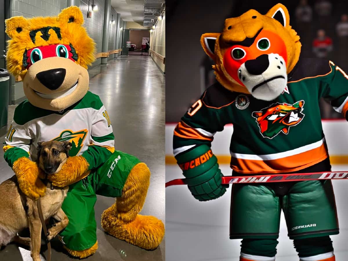 Minnesota Wild