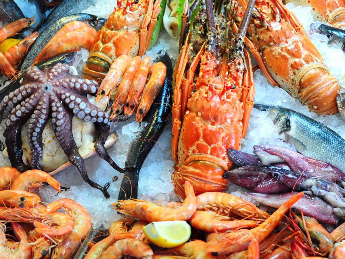 Endangered Seafood