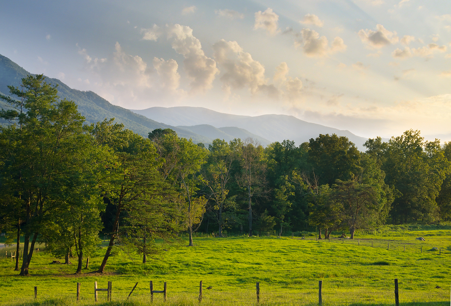 Great Smoky Mountains National Park