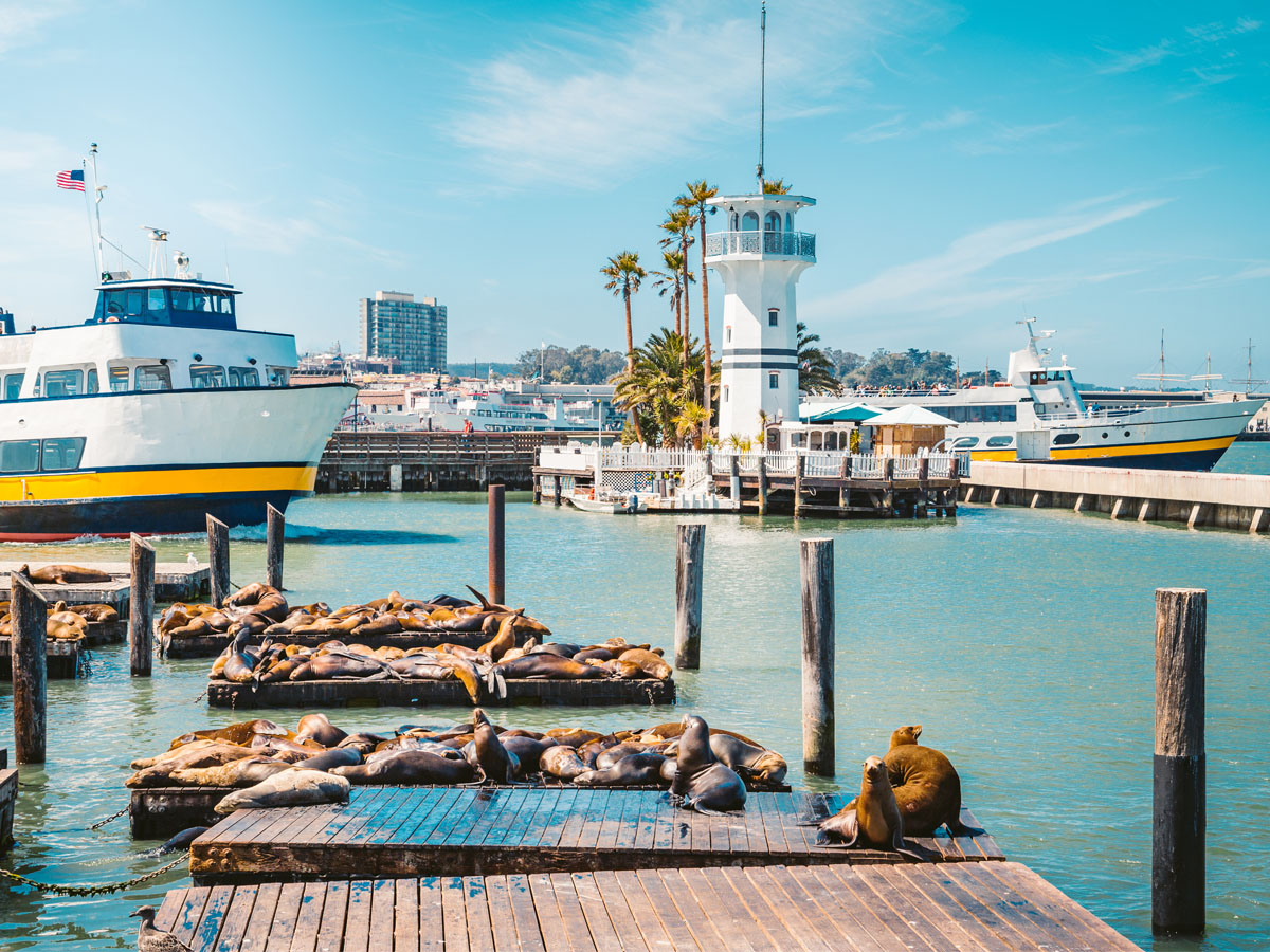 Pier 39