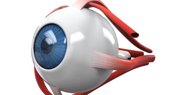 a diagram of an eye that doctors may use to illustrate glaucoma