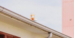 Gutter Installation Costs