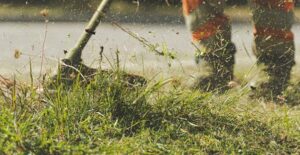 lawn care professionals