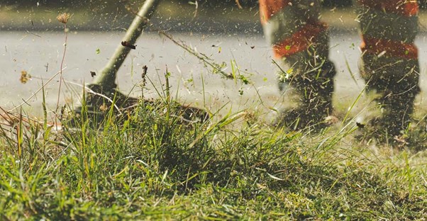 lawn care professionals
