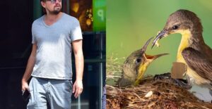 worst celebrity hygiene habits