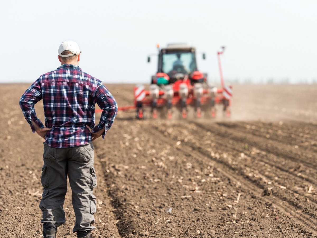 Farmers