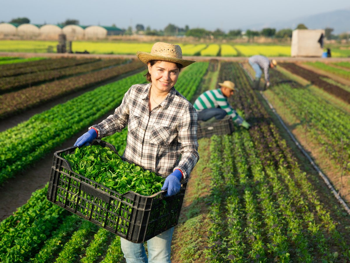 Farm Hands