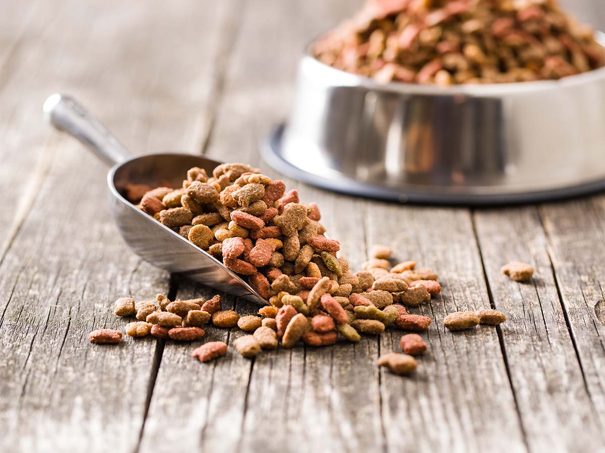 Pet Food