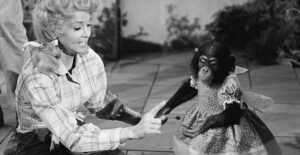 Behind the Scenes of Beverly Hillbillies