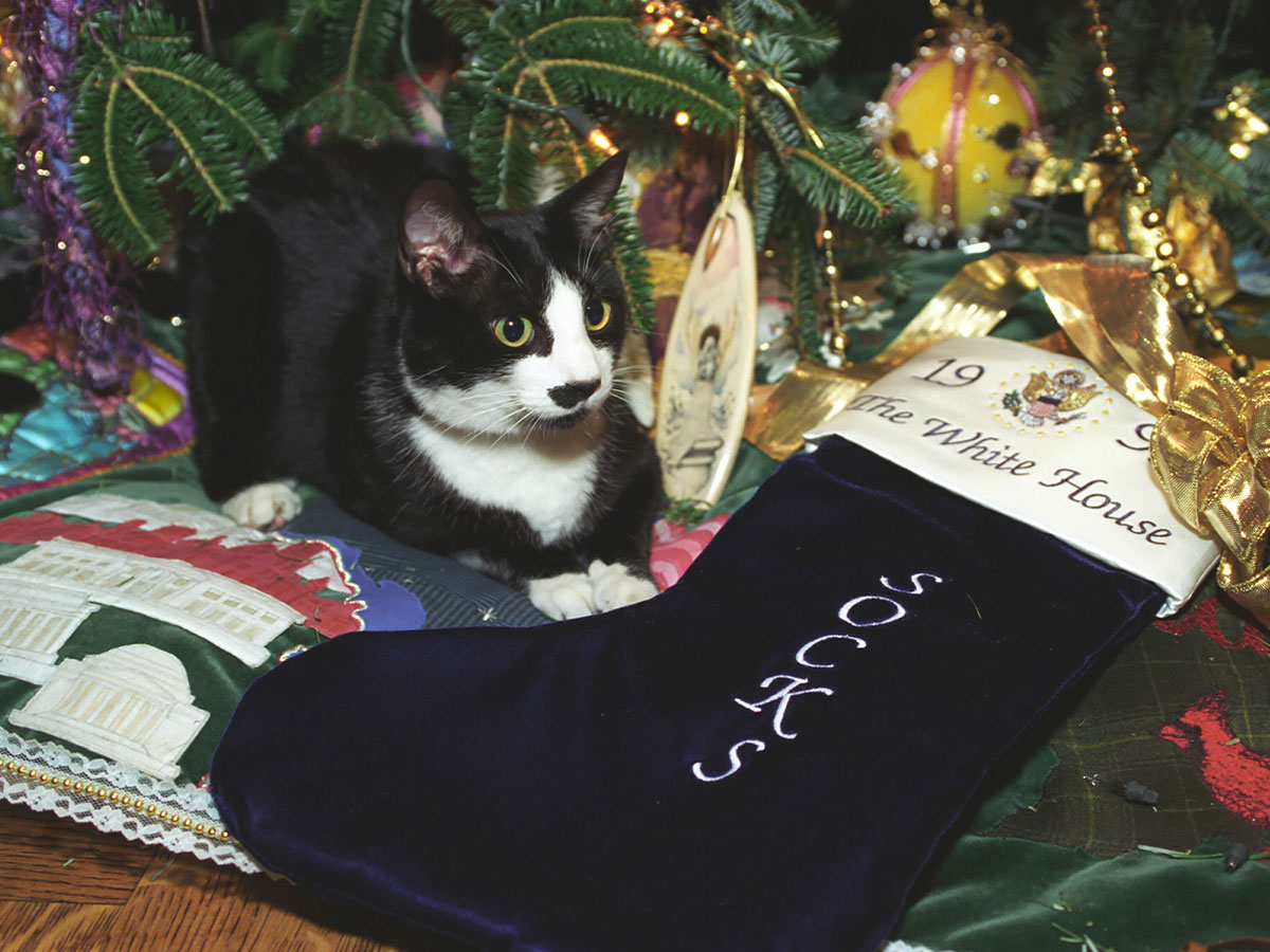 1993: First Cat Socks