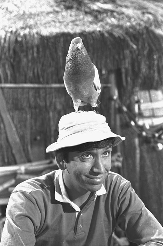 Bob Denver Wasn't the First Choice