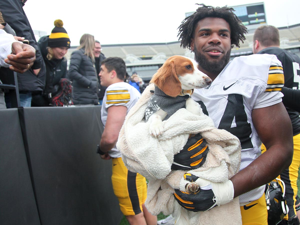 Jay Higgins - Iowa Hawkeyes Linebacker
