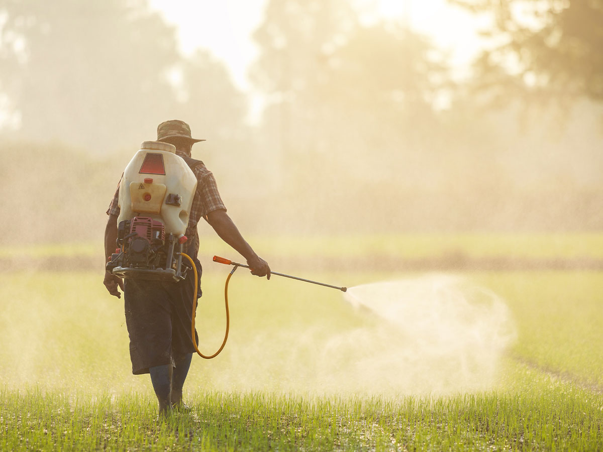 Pesticides Harmful to Bees