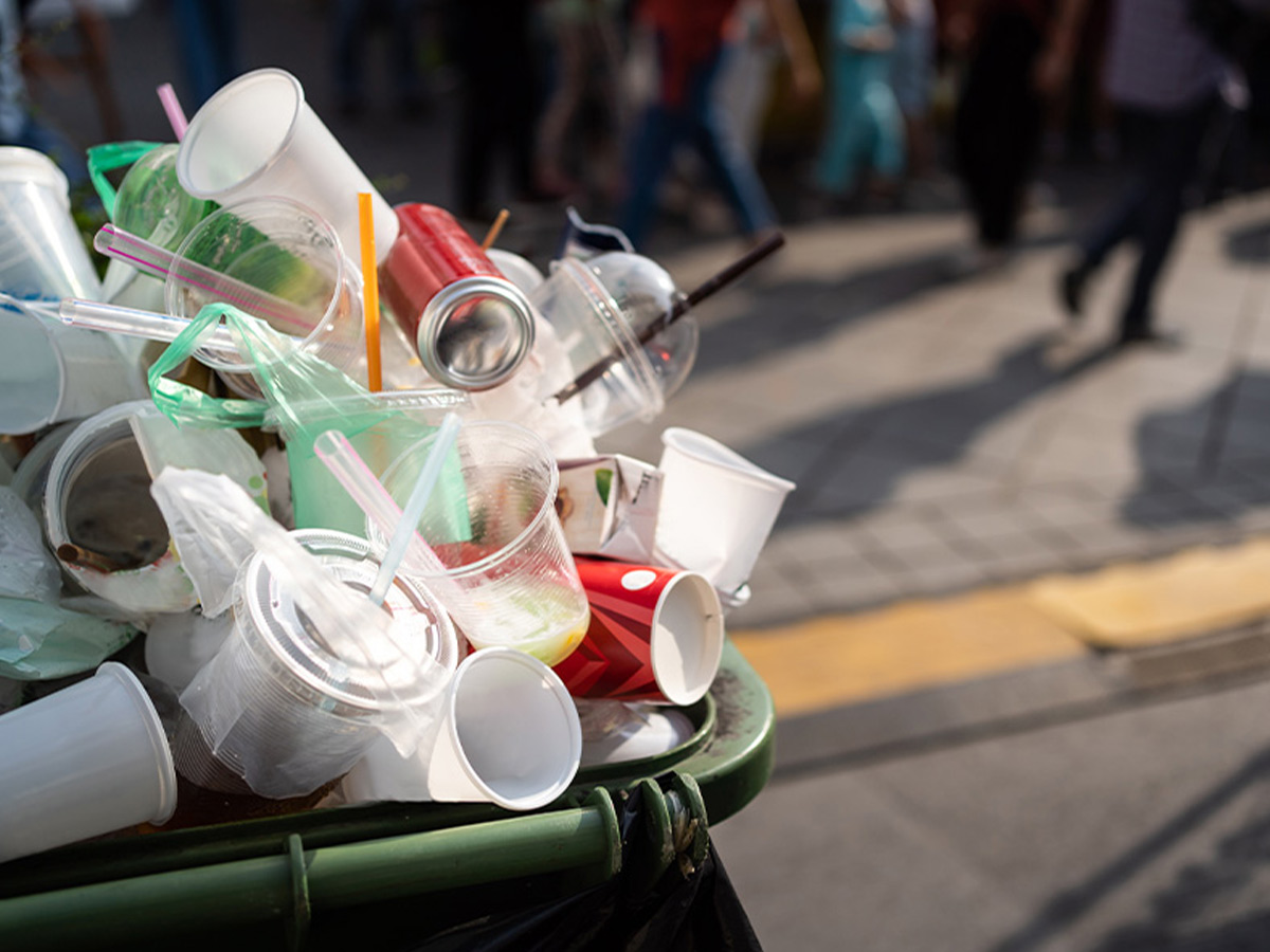 Single-Use Plastic