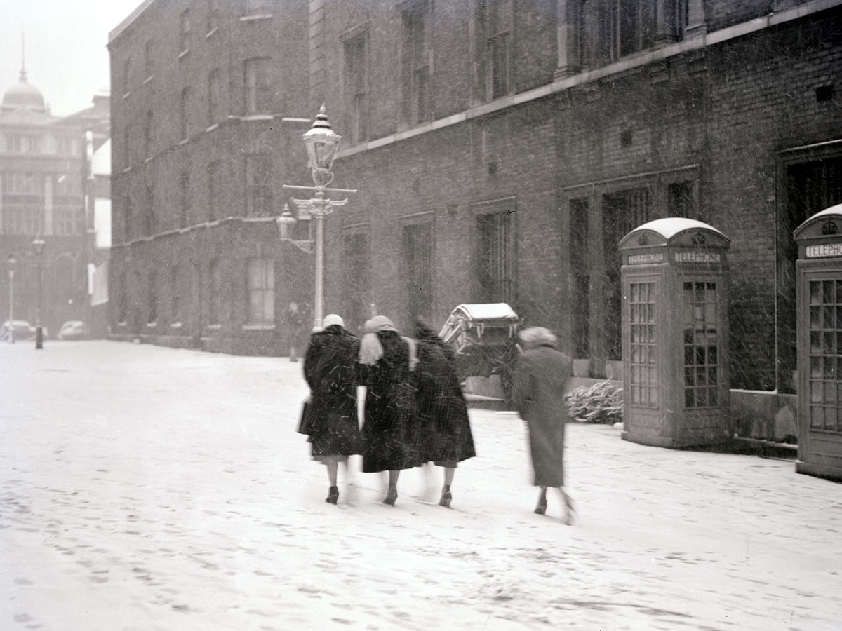 1954