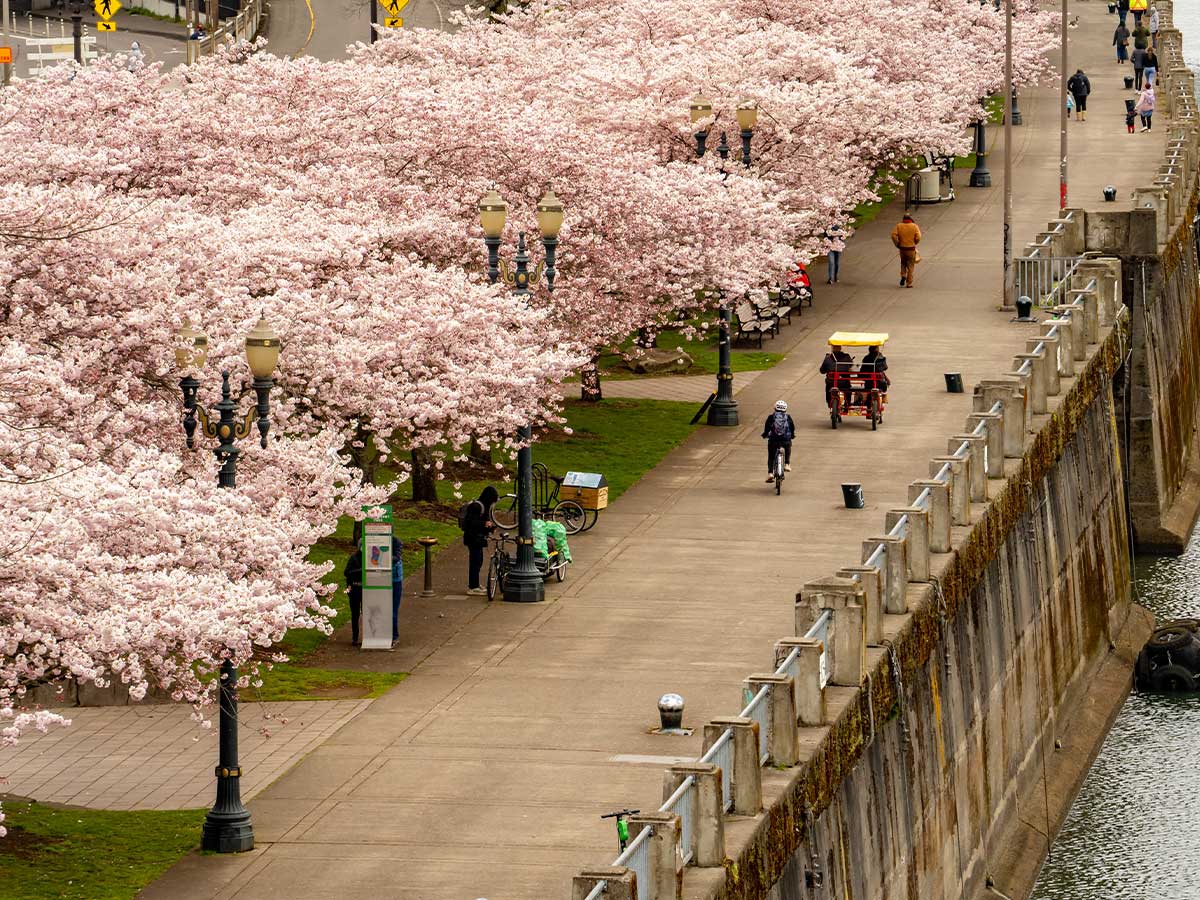 Portland, Oregon