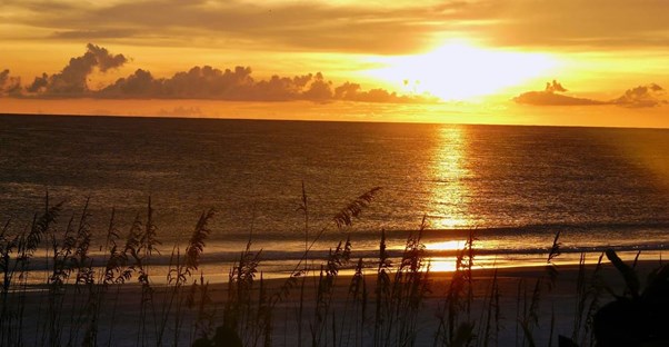 anna maria island