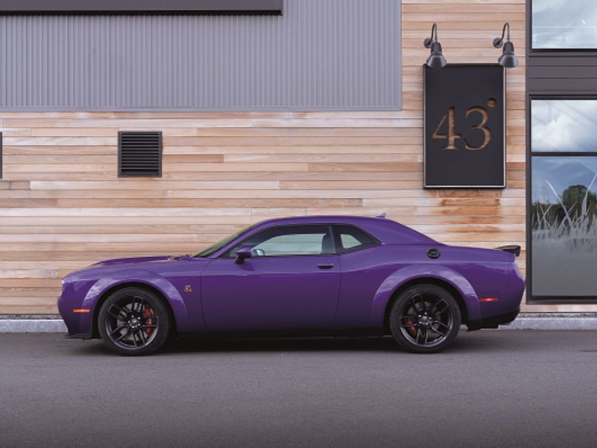 Purple: The Creative and Unique Individual