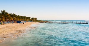 a palm tree-lined beach with a dock jutting out into the ocean in the distance