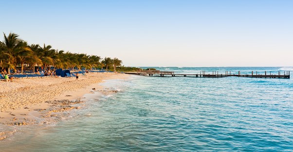 a palm tree-lined beach with a dock jutting out into the ocean in the distance