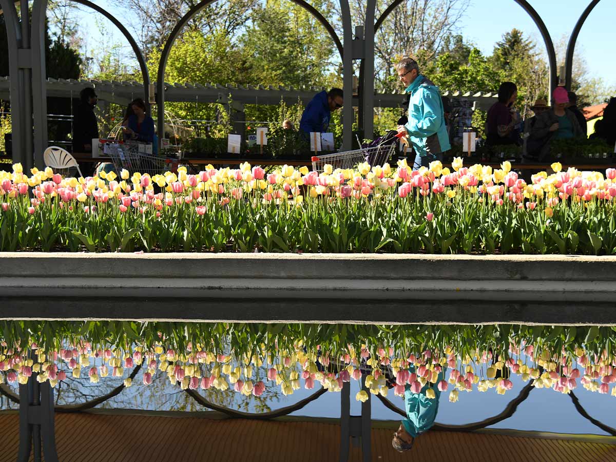 Denver Botanic Gardens in Colorado