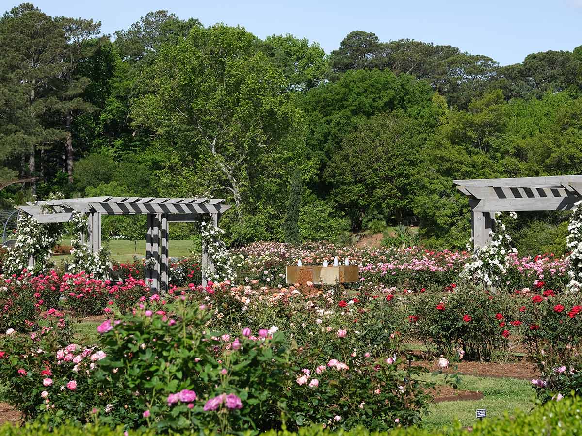 Norfolk Botanical Garden in Virginia