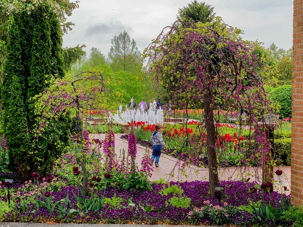 Chicago Botanic Garden in Illinois
