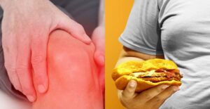 States with the Highest Obesity Rates