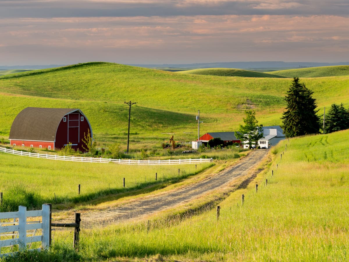 Idaho